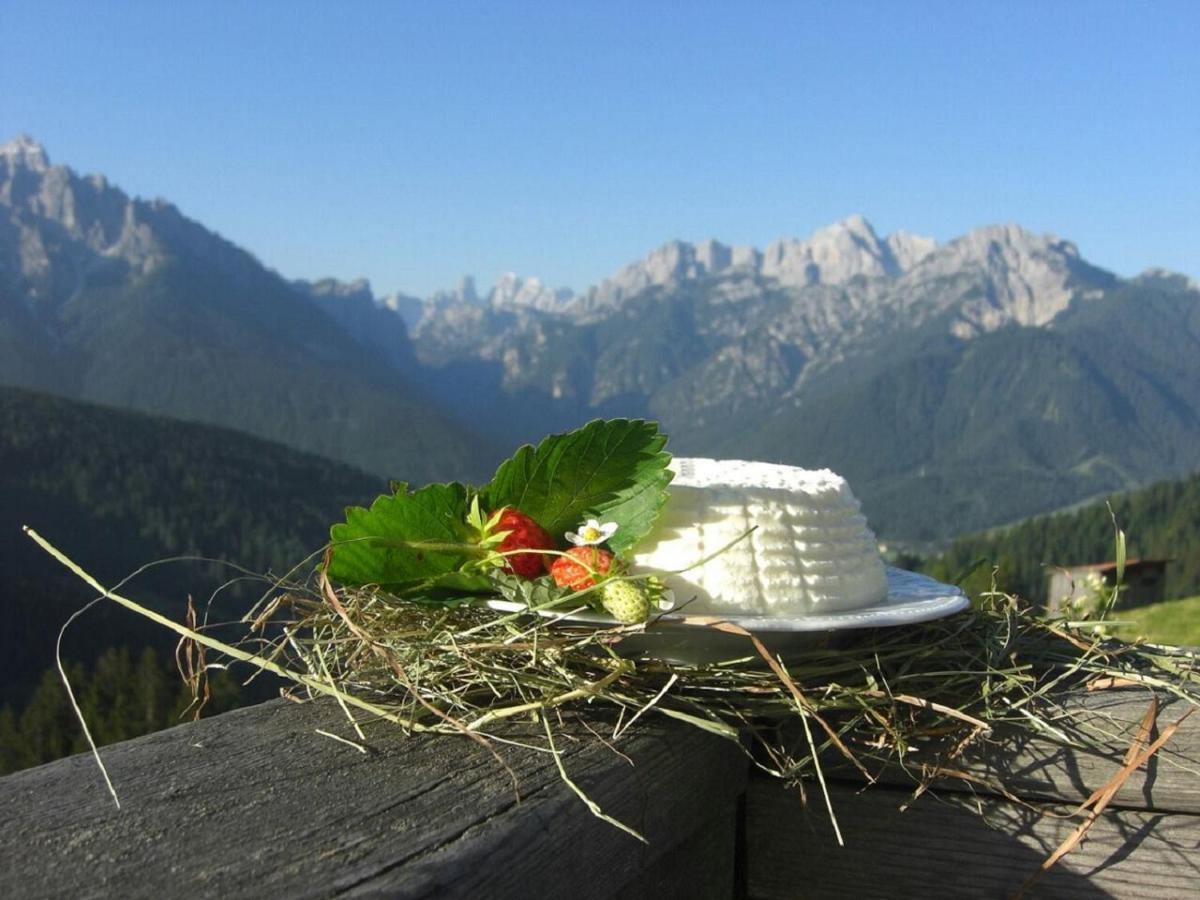 Bed and Breakfast Nigglerhof Toblach Exterior foto